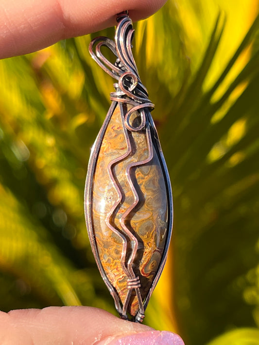 Petrified Palm Root ~ Earthcurrent
