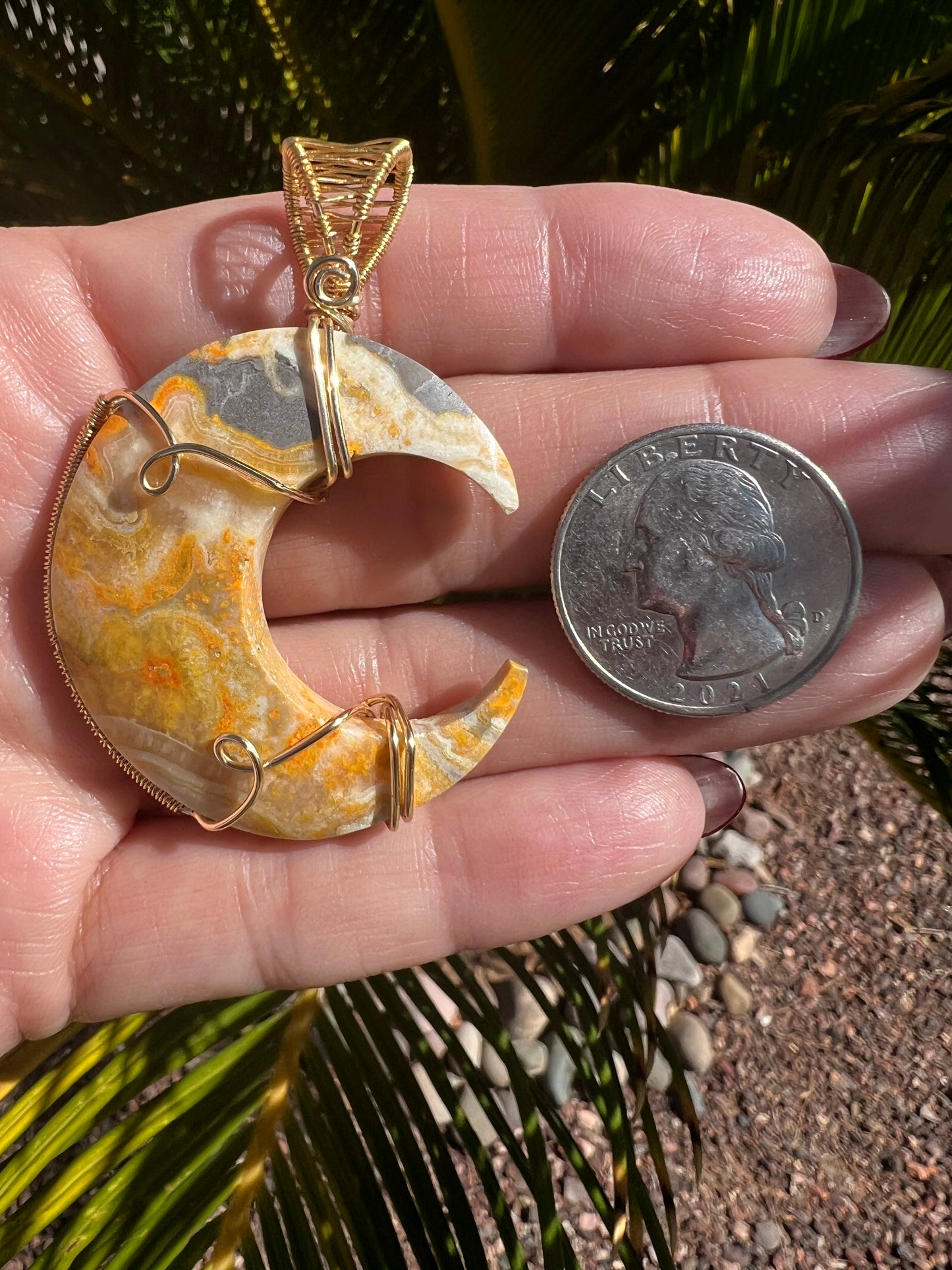 Bumblebee Jasper Moon