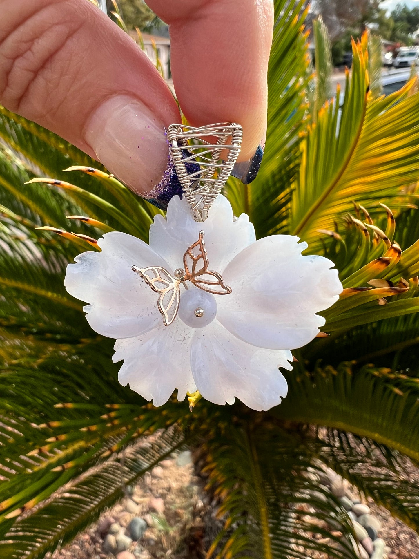 Blue Lace Flower