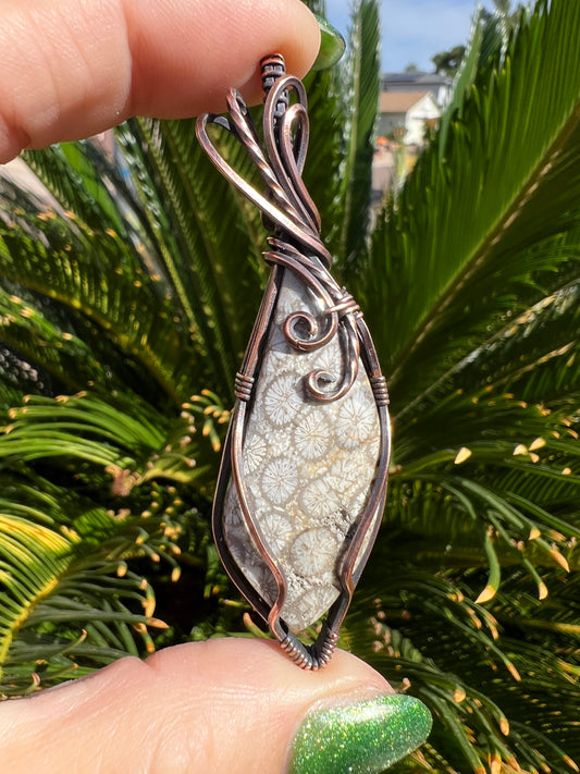 Black Flower Coral — Ancient Bloom