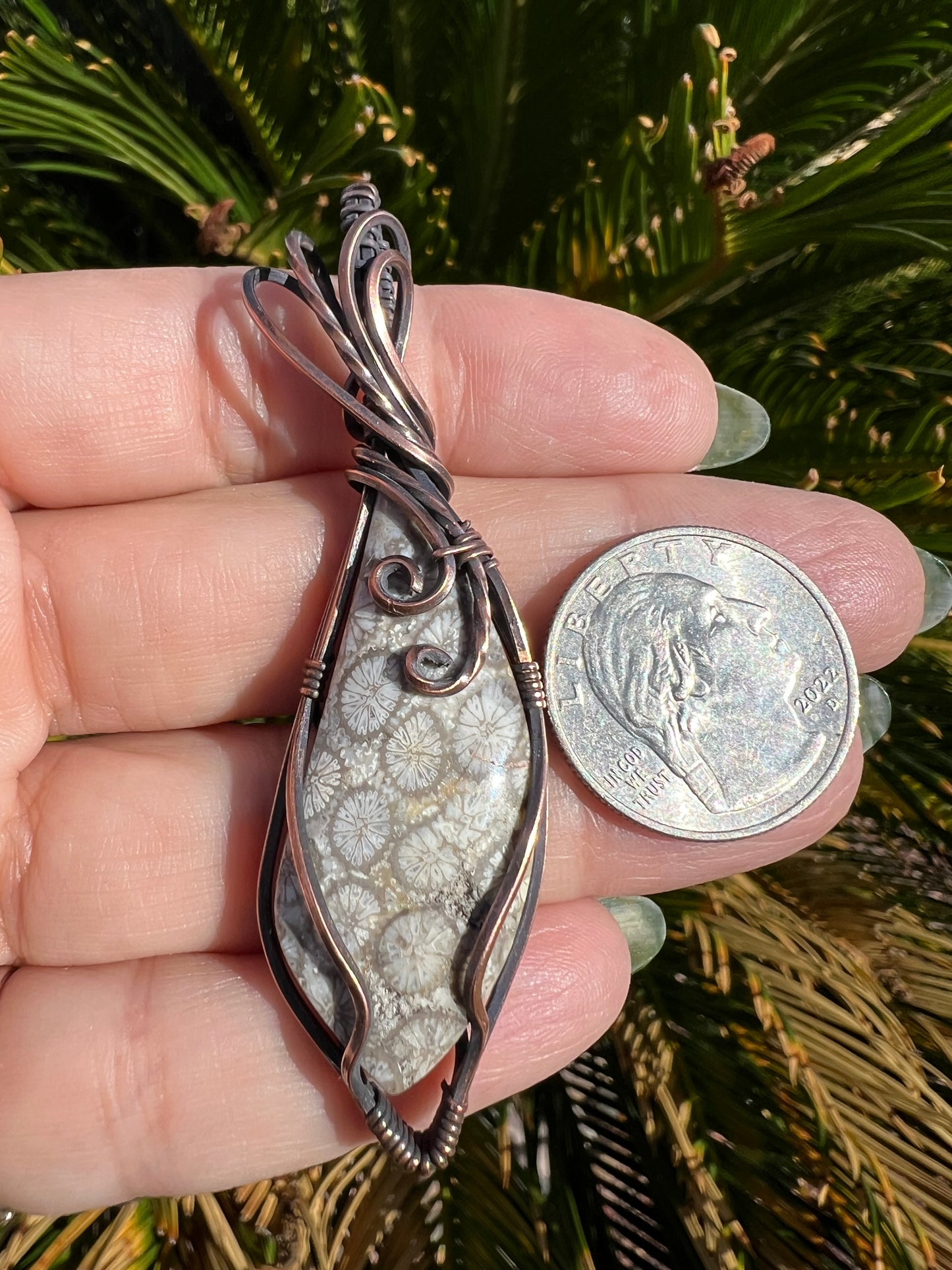 Black Flower Coral — Ancient Bloom